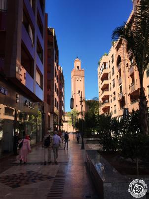 Marrakech, 3 jours dans la « Ville rouge » Marrakech, 3 jours dans la « Ville rouge »