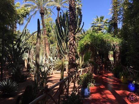 Marrakech, 3 jours dans la « Ville rouge » Marrakech, 3 jours dans la « Ville rouge »