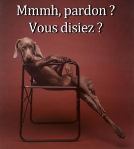 L’Institut de France est mal géré, mais on s’en tamponne. pardon vous disiez - lofty dog is lofty