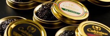 calvisius-singapore calvisius singapore 380x126