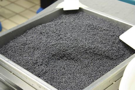 œufs nettoyés avant le salage © P.Faus œufs nettoyés avant le salage © P.Faus