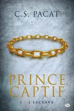 Prince captif 1 - L'esclave
