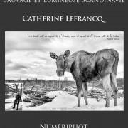 Exposition « Sauvage et lumineuse Scandinavie » Catherine Lefrancq à Numériphot