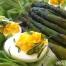  Cliquez ici pour voir  la recette de la Salade d'asperges bio sauce vinaigrette et oeufs bio mimosa  