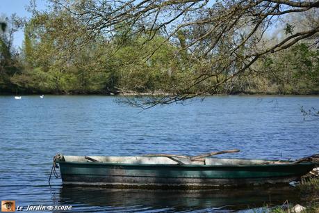 Barque de pêche sur le Loiret