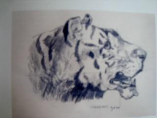 Dessinralislgede9ans Dessinralislgede9ans