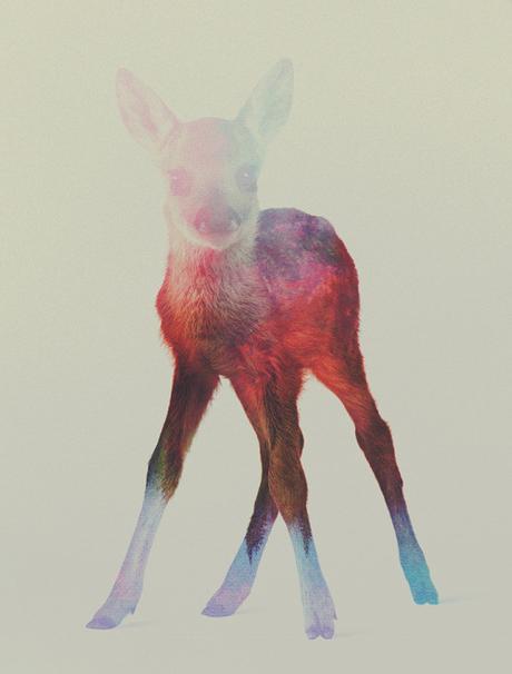 Jolies impressions – Andrea Lie Jolies impressions – Andrea Lie