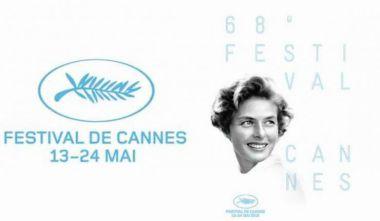 Festival de Cannes...vue de l’intérieur.