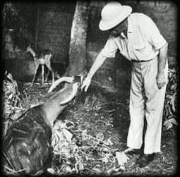 A Albert Schweitzer A Albert Schweitzer