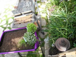 Bac Poppy’s Botanic Bac Poppy’s Botanic