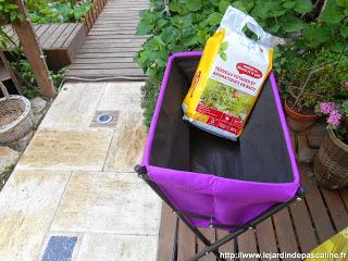 Bac Poppy’s Botanic Bac Poppy’s Botanic