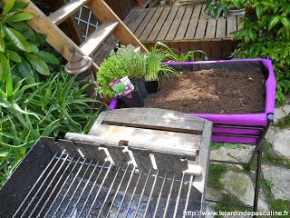 Bac Poppy’s Botanic Bac Poppy’s Botanic