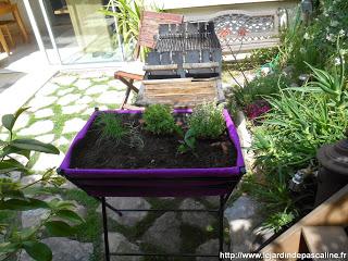 Bac Poppy’s Botanic Bac Poppy’s Botanic