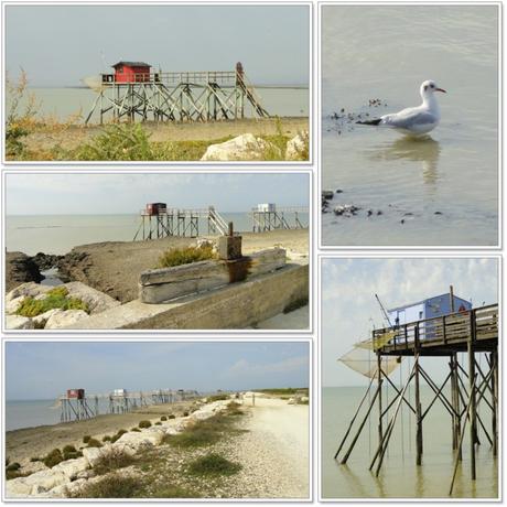 L'île Madame L'île Madame