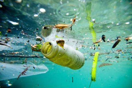 Christophe Launay/Race for water Dans les océans flottent des macrodéchets épars et surtout une myriade de microfragments, d’un diamètre inférieur à 5 millimètres.