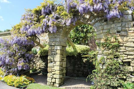Hever Castle_Italian Garden 2