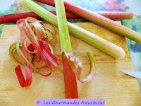 Sauce à la Rhubarbe et sauce aux lentilles corail (Vegan et sans gluten)