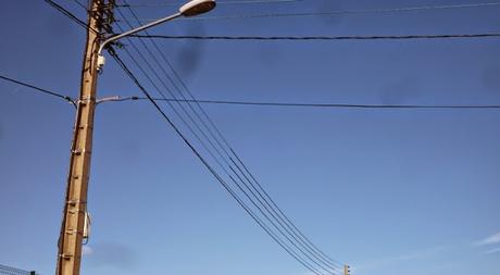 Mais où sont passées les hirondelles : - 40 % en trente ans... Mais où sont passées les hirondelles : - 40 % en trente ans...