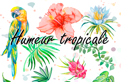 Humeur tropicale Humeur tropicale