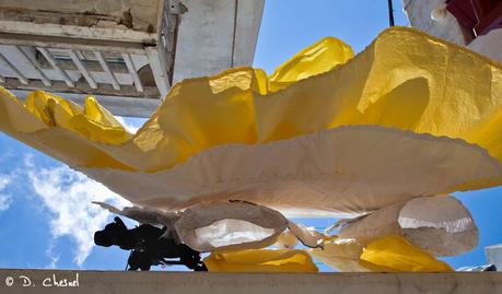 Du monde au balcon…! Du monde au balcon…!