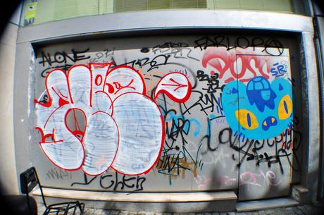 Xela/Chela (TXPS) Xela Chanoir (1)