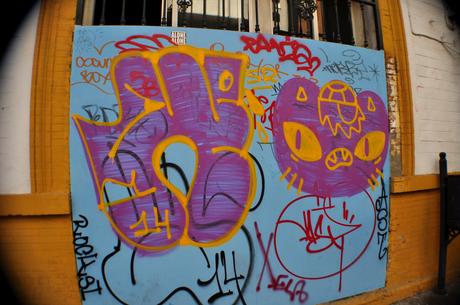 Xela/Chela (TXPS) Xela Chanoir (2)