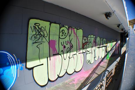 Xela/Chela (TXPS) Nose Xela