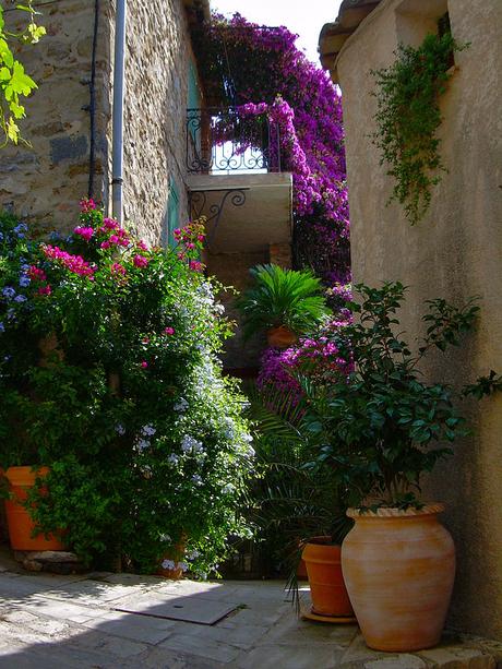 BALADE EN PAYS VAROIS BALADE EN PAYS VAROIS