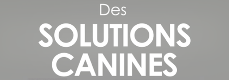 Des solutions canines dans votre maison : L'e-book malin d'Alexandra Bovell Des solutions canines dans votre maison : L'e-book malin d'Alexandra Bovell