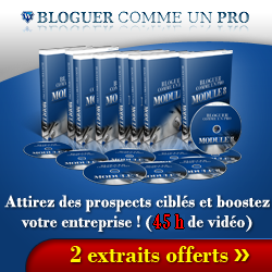 Ne tenez pas un Blog… créez un Business ! Ne tenez pas un Blog… créez un Business !