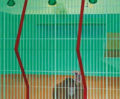Orang-Outang derrière la grille, 1965 Gille Aillaud