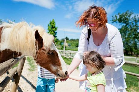 Petite pause aux pieds des Cévennes Les animaux du Green Park