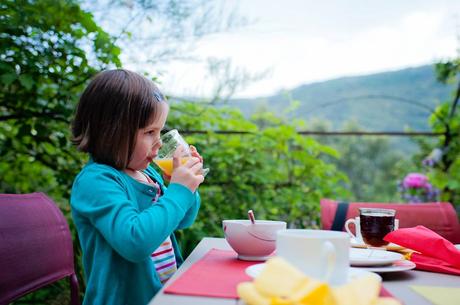Petite pause aux pieds des Cévennes Un grand vert de jus de fruit pressé