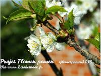 Flower Power 2015