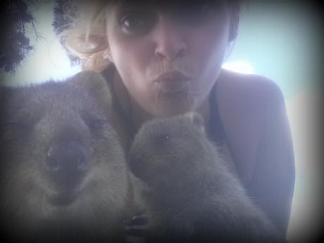 Vous avez dit quokka? Découvrez Rottnest Island, île paradisiaque de la Western Australia selfie quokka