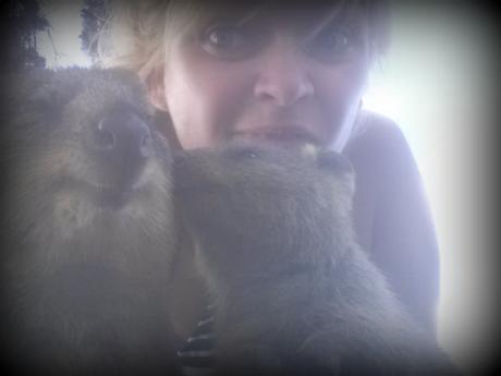 Vous avez dit quokka? Découvrez Rottnest Island, île paradisiaque de la Western Australia cute quokka