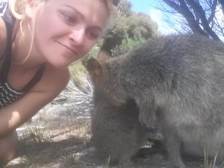 Vous avez dit quokka? Découvrez Rottnest Island, île paradisiaque de la Western Australia selfie quokka