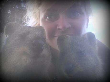 Vous avez dit quokka? Découvrez Rottnest Island, île paradisiaque de la Western Australia happiest animal en earth