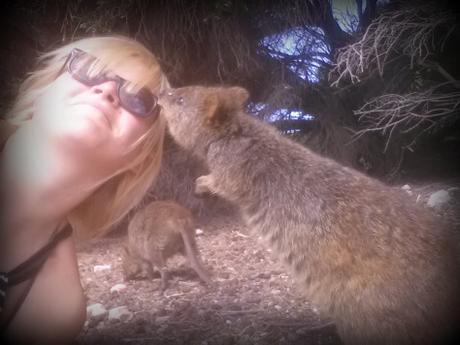 Vous avez dit quokka? Découvrez Rottnest Island, île paradisiaque de la Western Australia quokka kiss