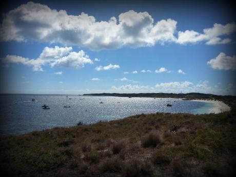 Vous avez dit quokka? Découvrez Rottnest Island, île paradisiaque de la Western Australia Rotto
