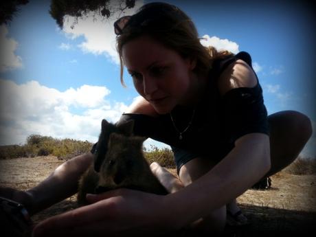 Vous avez dit quokka? Découvrez Rottnest Island, île paradisiaque de la Western Australia cute quokka