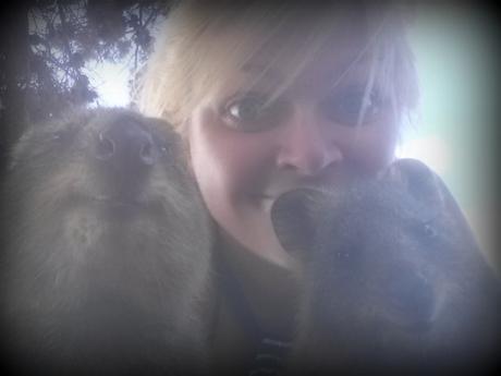 Vous avez dit quokka? Découvrez Rottnest Island, île paradisiaque de la Western Australia happiest animal en earth