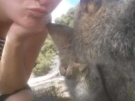 Vous avez dit quokka? Découvrez Rottnest Island, île paradisiaque de la Western Australia selfie quokka