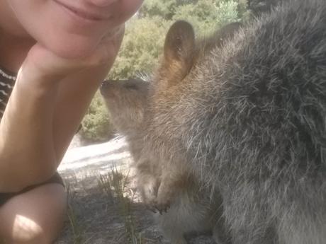 Vous avez dit quokka? Découvrez Rottnest Island, île paradisiaque de la Western Australia selfie quokka