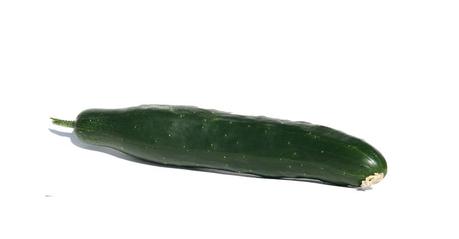 Concombre Concombre