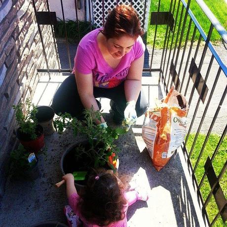 Semer pour l'avenir... J'ai un potager sur mon balcon! #Semerpourlavenir