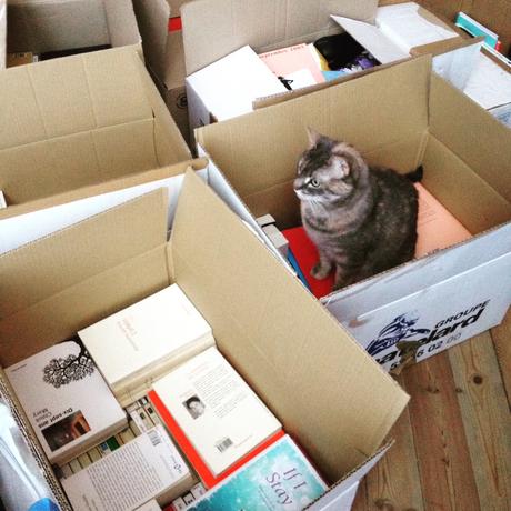 Mettre son travail dans des cartons cat in box