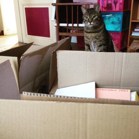 Mettre son travail dans des cartons cat in box 2