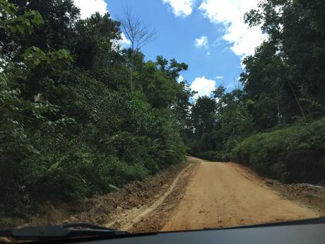 On the road in Kalimantan Timur On the road in Kalimantan Timur