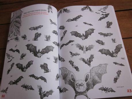 Joue avec Émile: C'est comme ça et pas autrement ! de Vincent Cuvellier & Ronan Badel IMG_3976